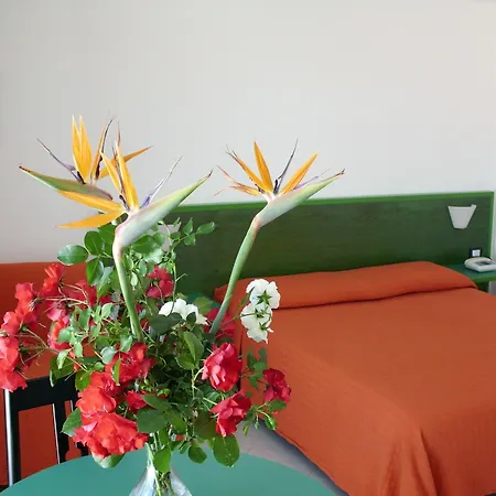 Piccada Hotel 3*