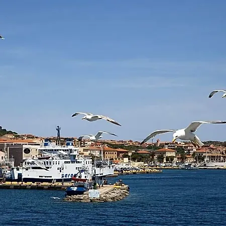 Piccada Palau